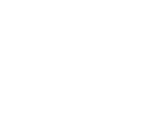 Blue Stripes Logo